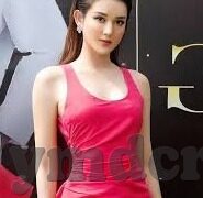 大象视频dxbnp回家导航-回家的路，大象视频DXBNP的温馨导航