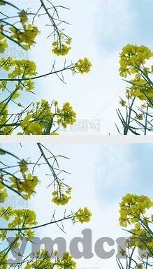 麻豆传媒app免费版下载-麻豆传媒app免费版，发掘内容创作的多元魅力