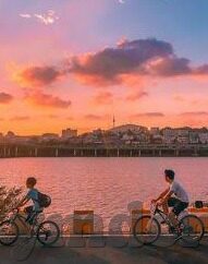 麻豆的视频-基于对创意写作和个人理解的追求，我将文章标题设为，麻豆视频的艺术迷踪与网络世界的交织