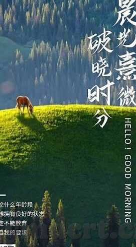糖心视频app官网入口汅-探索数字世代的娱乐新边界——从糖心视频的视角